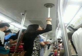 These unusual sightings are one of the unique perks of riding public transportation.