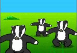 badger badger badger