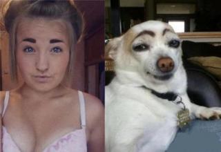 These people clearly don't understand eyebrows.