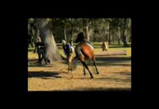 Horsemanship at worst