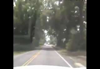 Stolen Police Squad Car Ends With Crash