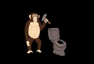 monkeys on evolution