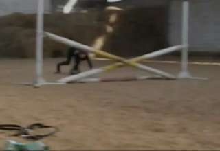 Girl Thinks Shes A Horse