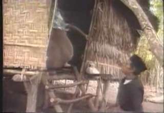 and you think you have big balls