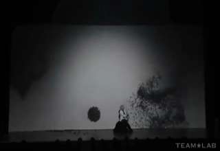 Amazing Japanese Samurai Shadow Swordplay