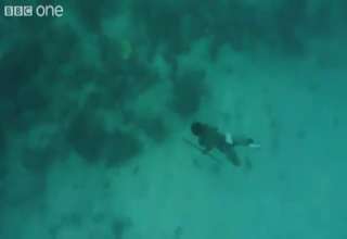 Man holds breath long time hunting fish