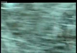 A Tribesman Chases His Prey For Over Eight Hours